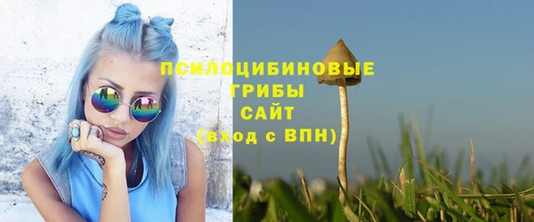 ALPHA-PVP Богородицк