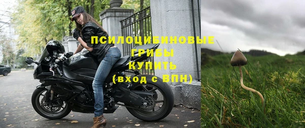 эйфоретик Богданович