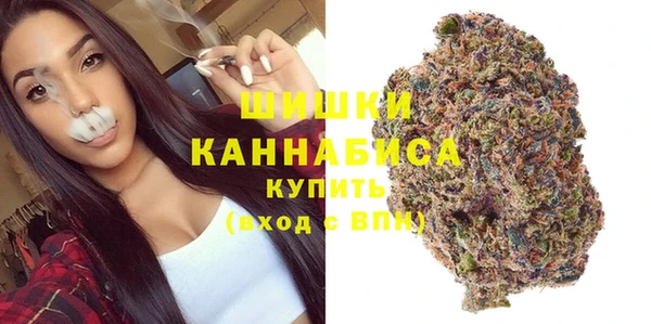 эйфоретик Богданович