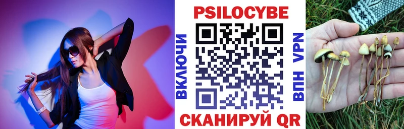 купить кракен сайт Псилоцибиновые грибы Magic Shrooms Ясногорск